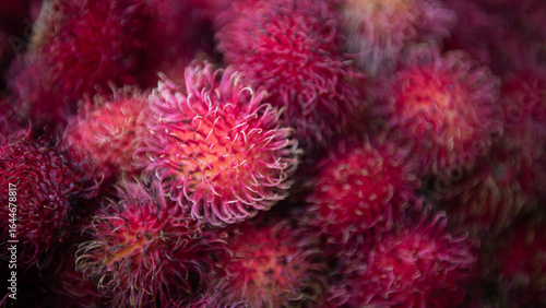 background close up with fresh tropical pink lychees fruit on market in asia 