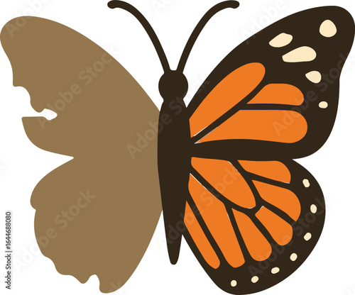 Metamorphosis concept with half damaged and half vibrant monarch butterfly
