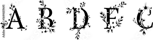 Decorative Floral Alphabet – Stylish Black Letter Set vector bundle