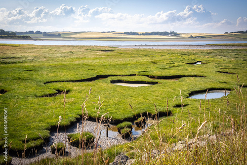 forvie national nature reserve, forvie, dunes, estuary, ythan estuary, boats, coastline, scotland, uk, europe, 