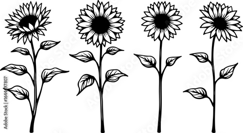 Sunflower Silhouettes – Elegant Floral Vector Set