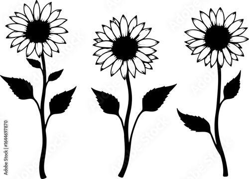 Sunflower Silhouettes – Elegant Floral Vector Set