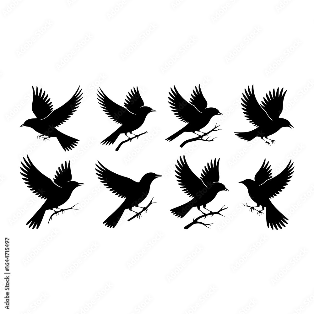 Obraz premium Black birds in flight and perched silhouette flying