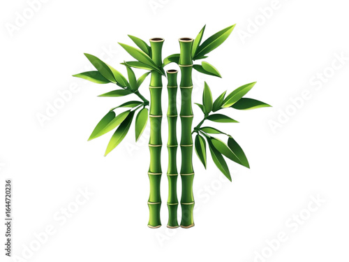 3D bamboo vector icon