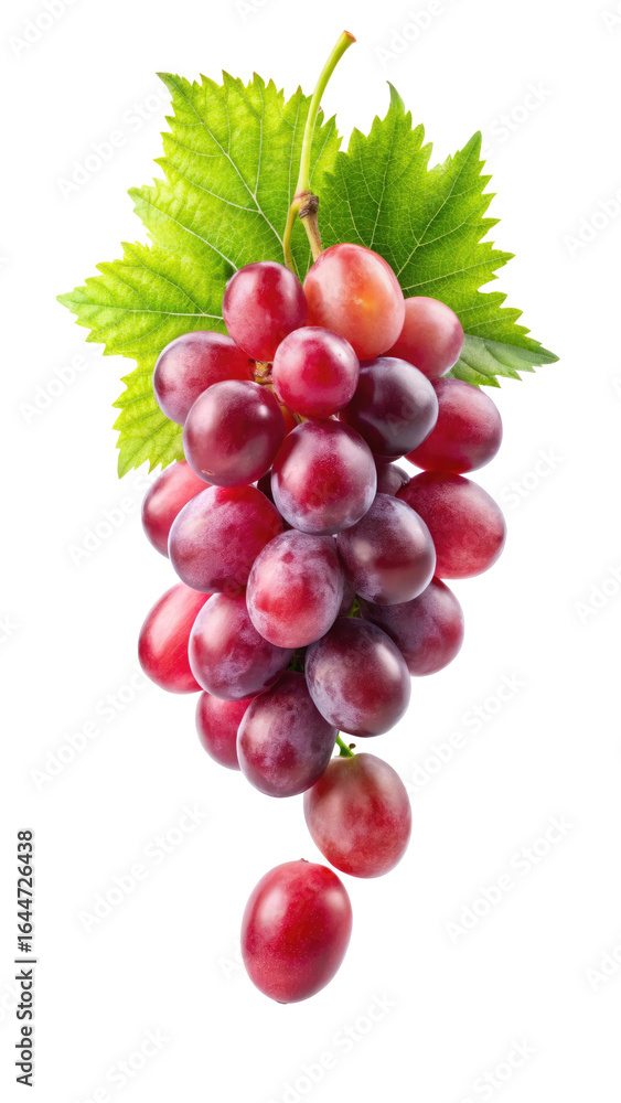 Fototapeta premium Red Grape with Leaves Isolated on White Background