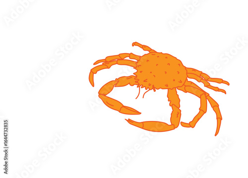 Alaskan Snow Crab Art Illustration