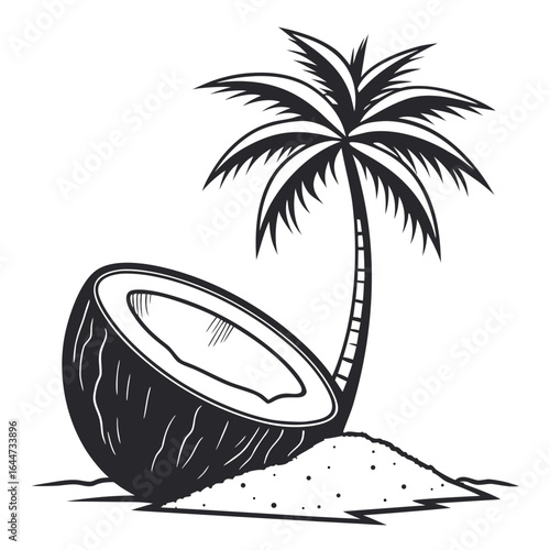 coconut palm tree