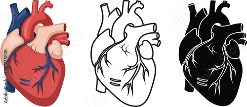 Three heart illustrations in color outline and silhouette form