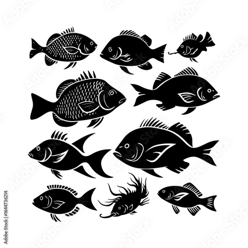 Tilapia Fish Silhouettes Clipart on White Background