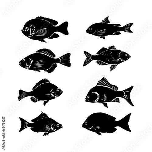Tilapia Fish Silhouettes Clipart on White Background