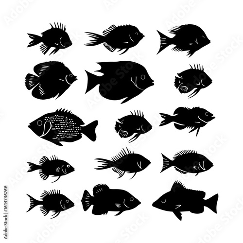Tilapia Fish Silhouettes Clipart on White Background