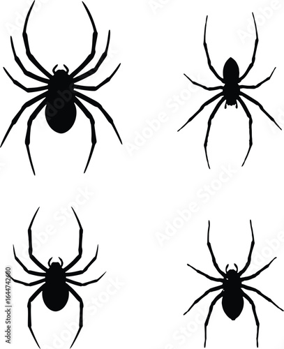 Eerie Silhouette of Arachnids Displaying Spooky and Crawly Characterizations