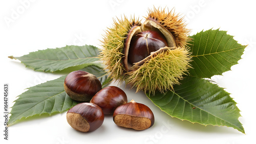chestnuts isolated on white background