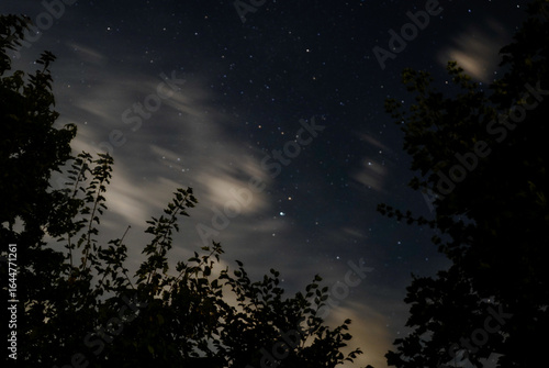 Stars and clouds in the night sky with silhouetted trees in the foreground, starry sky with some trees and clouds in the background, 27798 Hude, Germany