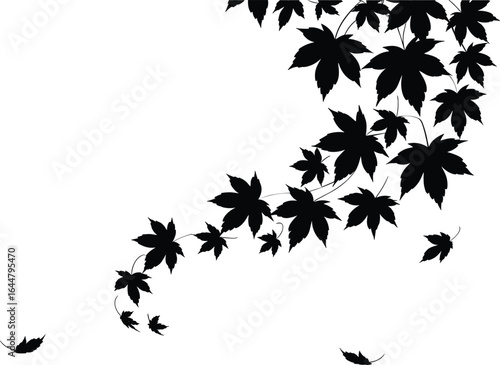 Cascading black maple leaves falling in a dynamic swirl silhouette