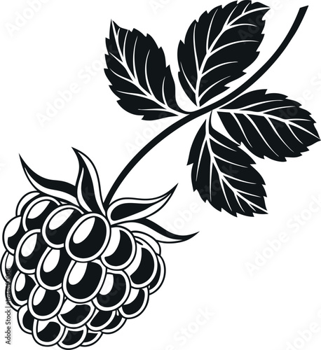 Clean black silhouette of cloudberry on white background