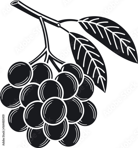 Clean black silhouette of langsat fruit cluster