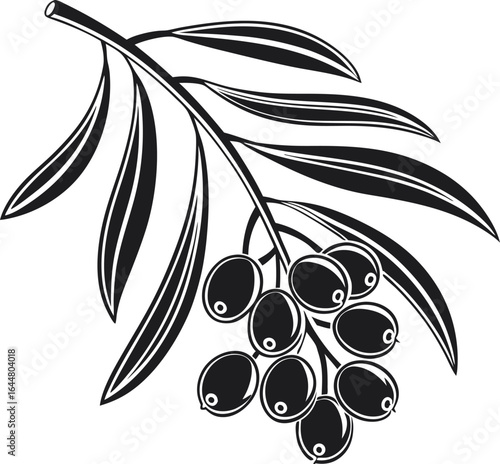 Clean black silhouette of sea buckthorn berry cluster