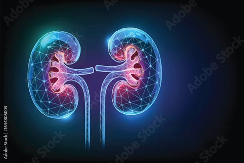 A digital medical illustration of human kidneys rendered in a futuristic, low-poly wireframe style with a glowing blue neon effect