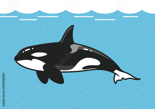 A cartoon illustration of an orca, or killer whale, swimming just below the ocean surface.