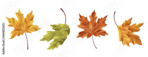 Realistic maple leaf collection with yellow, green, orange and red autumn foliage for seasonal designs. Natural botanical elements with fall colors and detailed textures. Isolated leaves with stems.