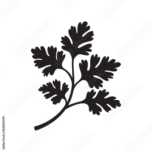Fresh Cilantro Herb Leaves Silhouette Icon - Aromatic Cooking Spice Vector