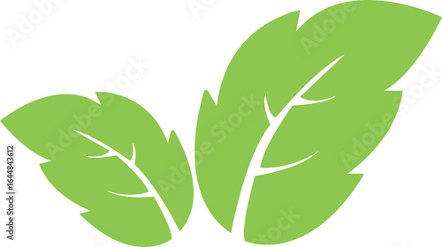 leaf, branch icon in flat friendly ecology icons. Environmental Leaves, natural, labels vector symbol isolated transparent background