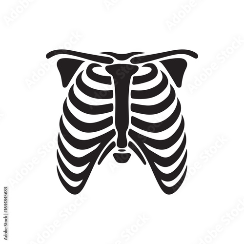 Human Rib Cage Silhouette - Medical and Anatomy Vector