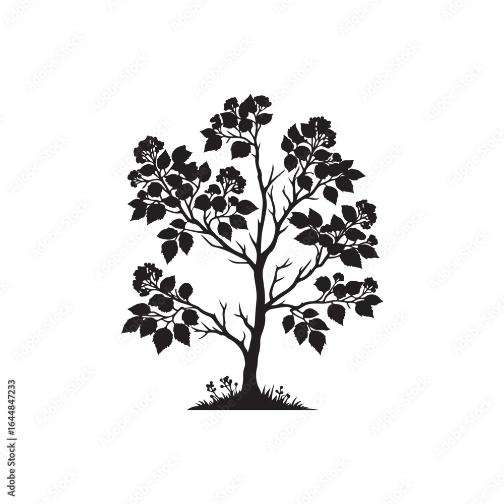 Obraz premium Alder Tree Silhouette Illustration – Black Outline on White Background.