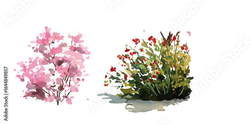 spring flowers isolated on white. Watercolor set of bouquets of wildflowers on a white background. 