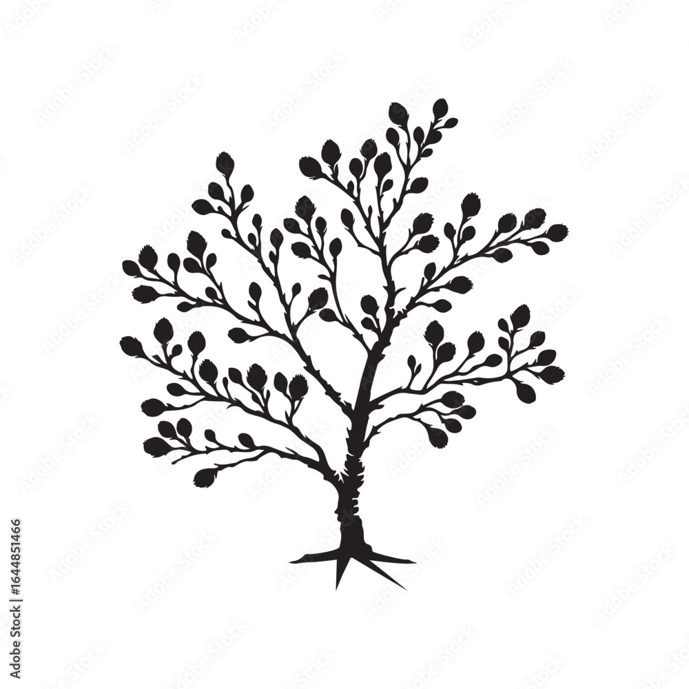 Obraz premium Alder Tree Silhouette Illustration – Black Outline on White Background.