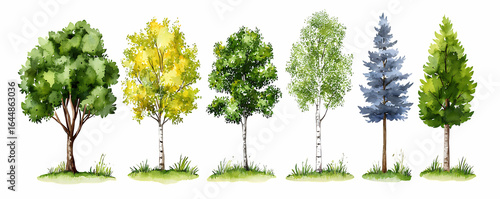 Watercolor Trees Illustration with Transparent Background in Green Yellow and Blue Tones