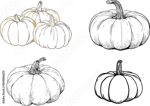 Hand-drawn pumpkins, autumn harvest