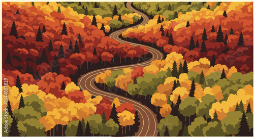 An Aerial View of a Winding Road in an Autumn Forest