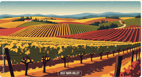 Autumn Vineyard Harvest - A Golden Landscape