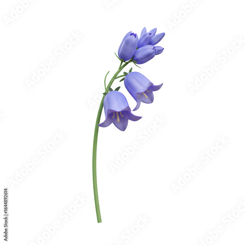 Single Bluebell Flower in Full Bloom with Delicate Petals on Transparent Backdrop
