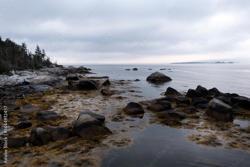 Obraz premium rocky shoreline on island in Nova Scotia on cloudy day