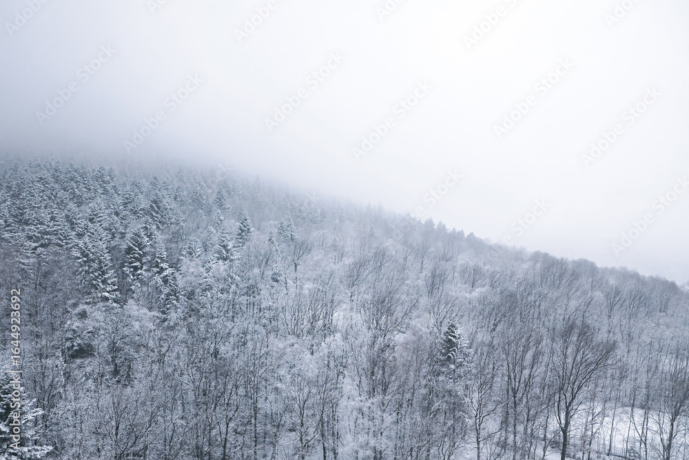 Fototapeta premium Scenic winter nature view with snowy hills and trees