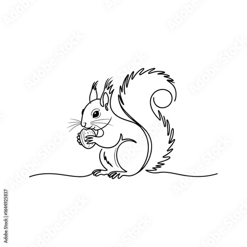 Black and white line art of a squirrel holding a nut animal wildlife