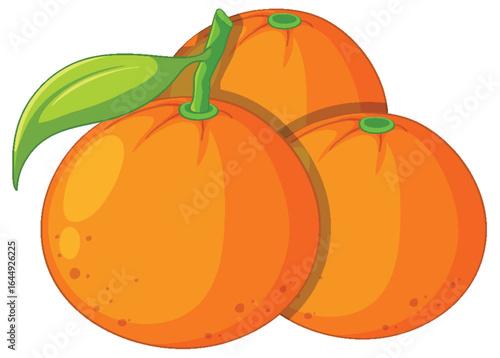 Three Fresh Oranges with Green Leaf Vector Illustration