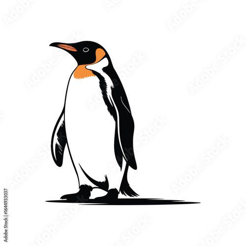 Elegant black and orange penguin standing tall bird animal