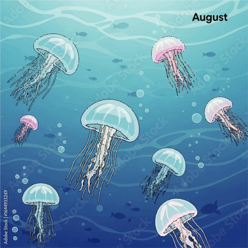 jellyfish swimming in the sea