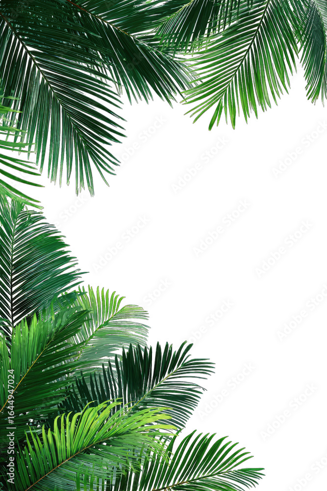 Naklejka premium Tropical leaves frame, vibrant greens, dark center