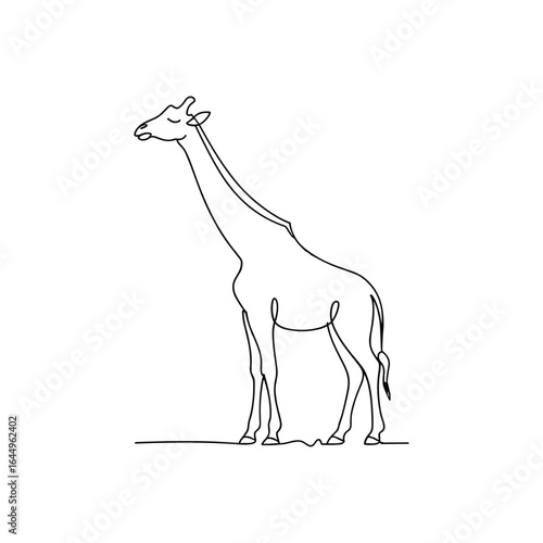 Elegant giraffe standing gracefully in continuous line art animal wildlife