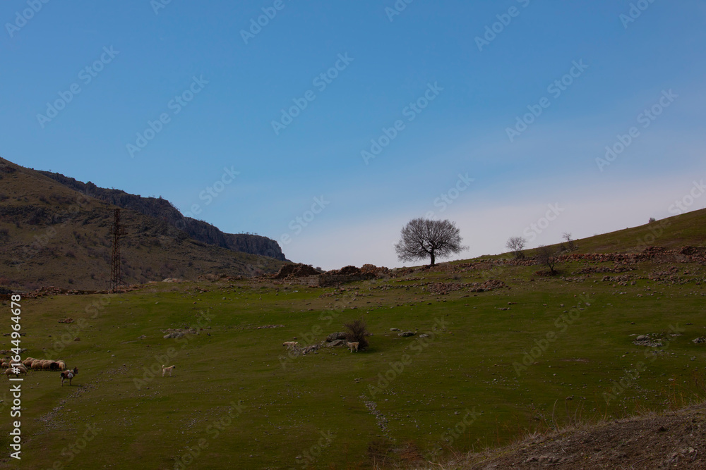 Obraz premium The mountains within the borders of Tunceli province extend in the west-east direction as an extension of the Eastern Taurus Mountains.