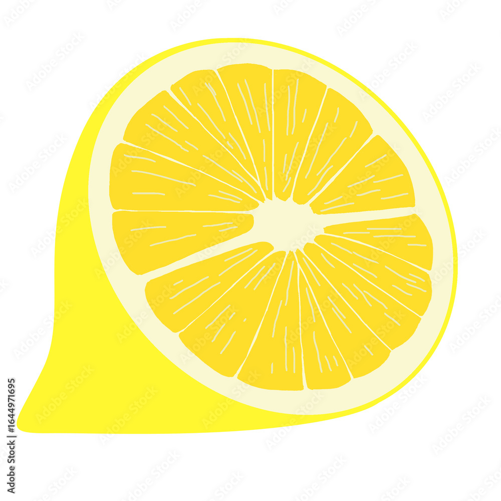 vector illustration of half lemon vector illustration of half lemon
