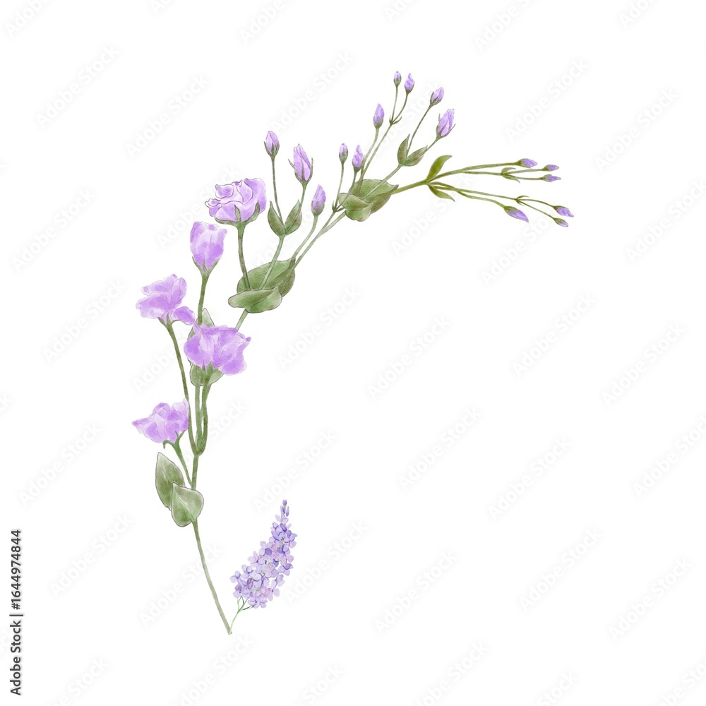 Obraz premium Watercolor Pink Flowers Clipart – Isolated on White Background