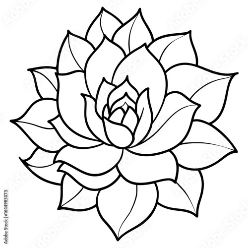 Stylized black and white outline drawing of a succulent plant with layered petals and leaves on a white background