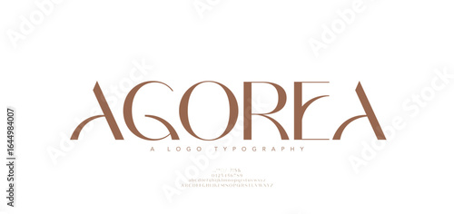 Beauty Luxury font alphabet logo. Typography beautiful fashion elegant classic letters serif italic fonts decorative wedding vintage blossom logos. vector illustration