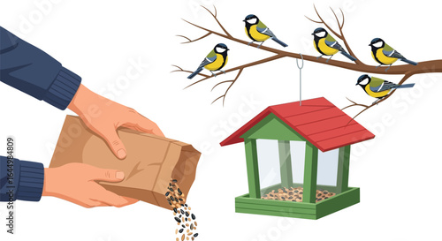 Illustration of feeding birds in winter with bird feeder seeds